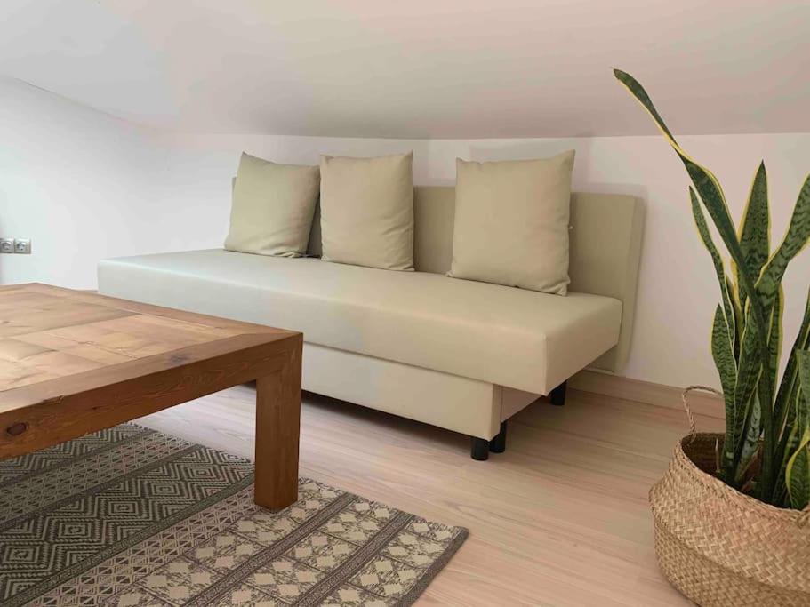 La Pau Apartaments Mollerussa Extérieur photo